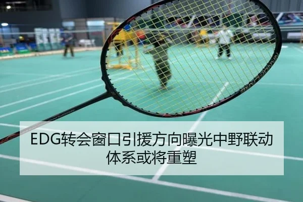 EDG转会窗口引援方向曝光中野联动体系或将重塑